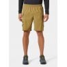 Pantalones cortos Helly Hansen Vista Hike Cargo Shorts (Lynx) Hombre