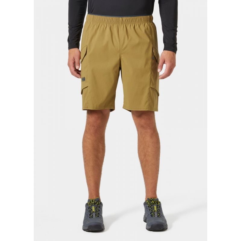 Shorts Helly Hansen Vista Hike Cargo Shorts (Lynx) for menn