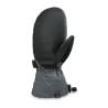 Ski mittens Dakine TITAN GORE-TEX MITT (CARBON)