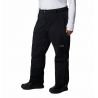 Skihose Columbia W Cirque Bowl (Black) Women