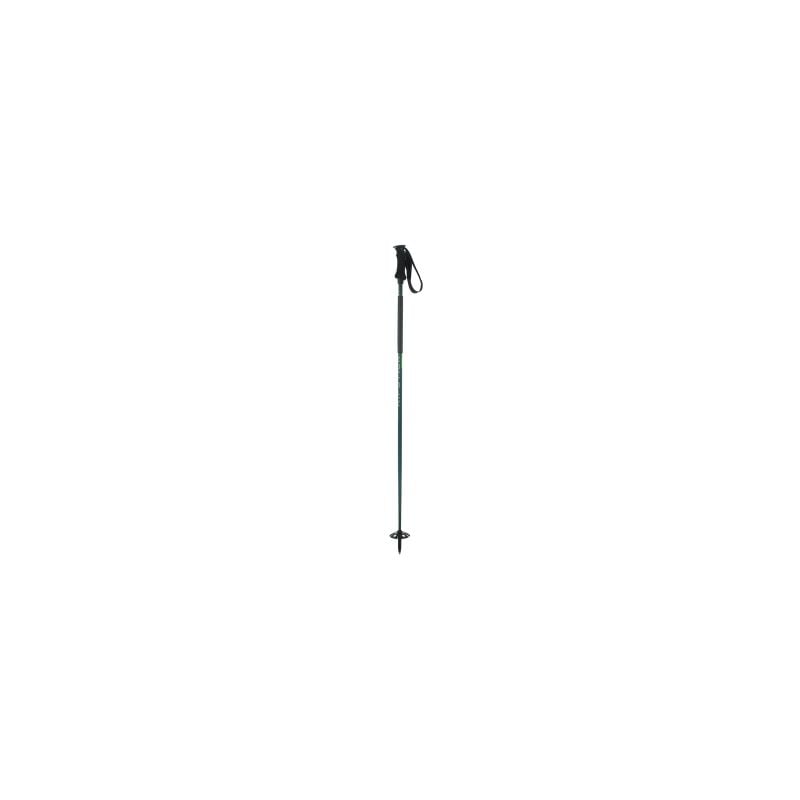 Bastone da sci Elan Ripstick ROD 