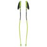 National Team Carbon Gs Bent
