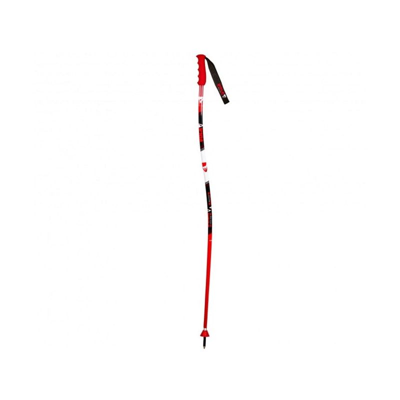 Bastones de esquí GS ALUMINIUM Junior