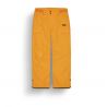 Men's ski pants Picture PLAN PANTS (Carrot)