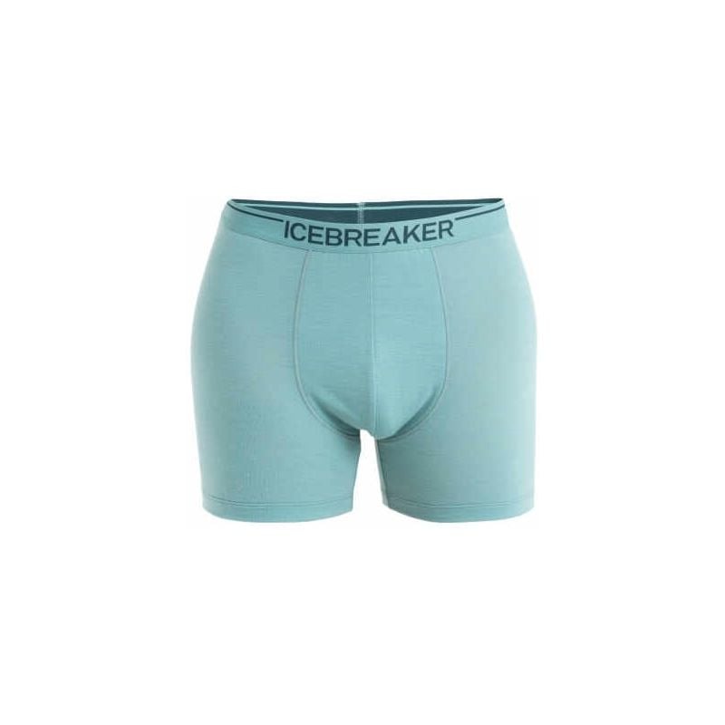 Bokserit Icebreaker Miehet Merino Core bokserit (KYANITE)