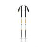 Black Diamond TRAVERSE PRO SKI POLES (Schuimgroen)