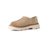Sko UGG M TASMAN LUG (MUSTARD SEED) Homme