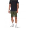 Vandringsshorts Mammut Hiking V Shorts (dark marsh) Herr