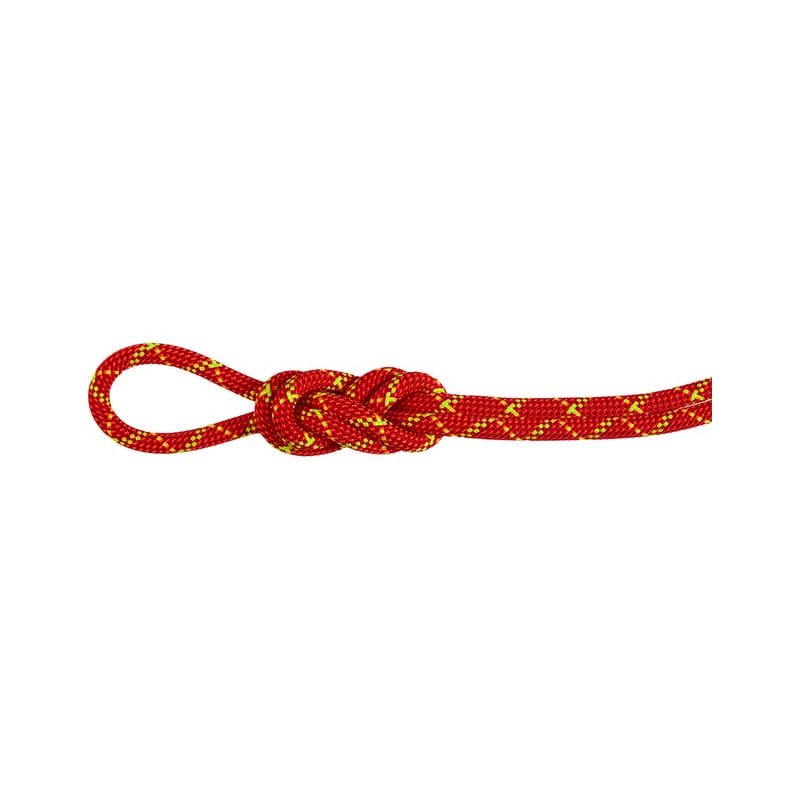 Corde MAMMUT 8.0 Alpine Core Protect Dry Rope 40m (fire-halo)