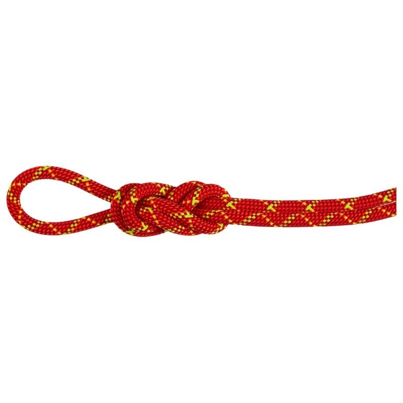 Rope Mammut 8.0 Alpine Core Protect Dry Rope 50m (fire-halo)