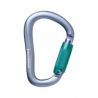Black Diamond ROCKLOCK TRIPLE LOCK CARABINER (Grå)
