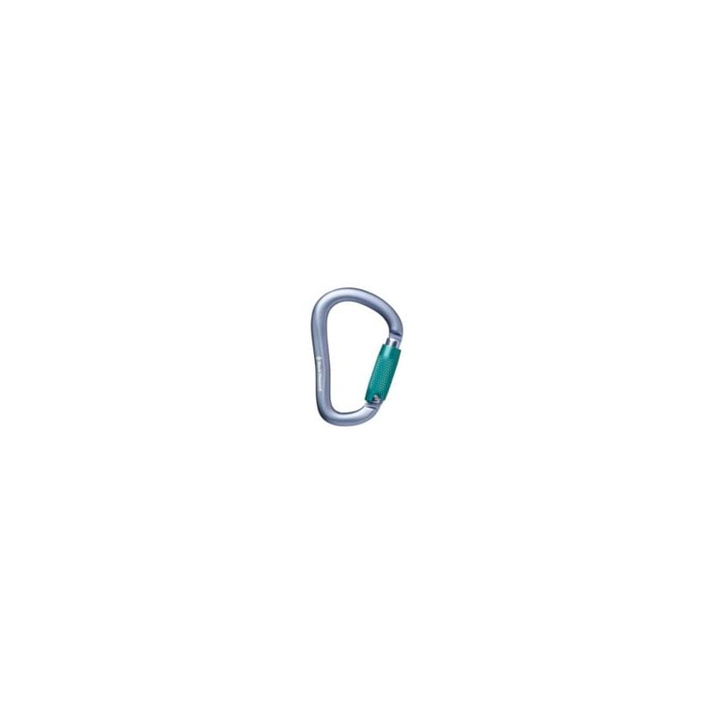 Karabiner Black Diamond ROCKLOCK TRIPLE LOCK CARABINER (Gray)