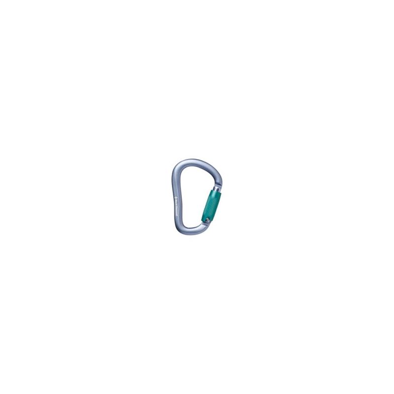 Karabijnhaak Black Diamond ROCKLOCK TRIPLE LOCK CARABINER (Grijs)