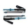 BLACK DIAMOND DISTANCE CARBON FLZ POLES (Desert Sky)