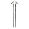 Black Diamond TRAIL CORK TREKKING POLES (Fig)