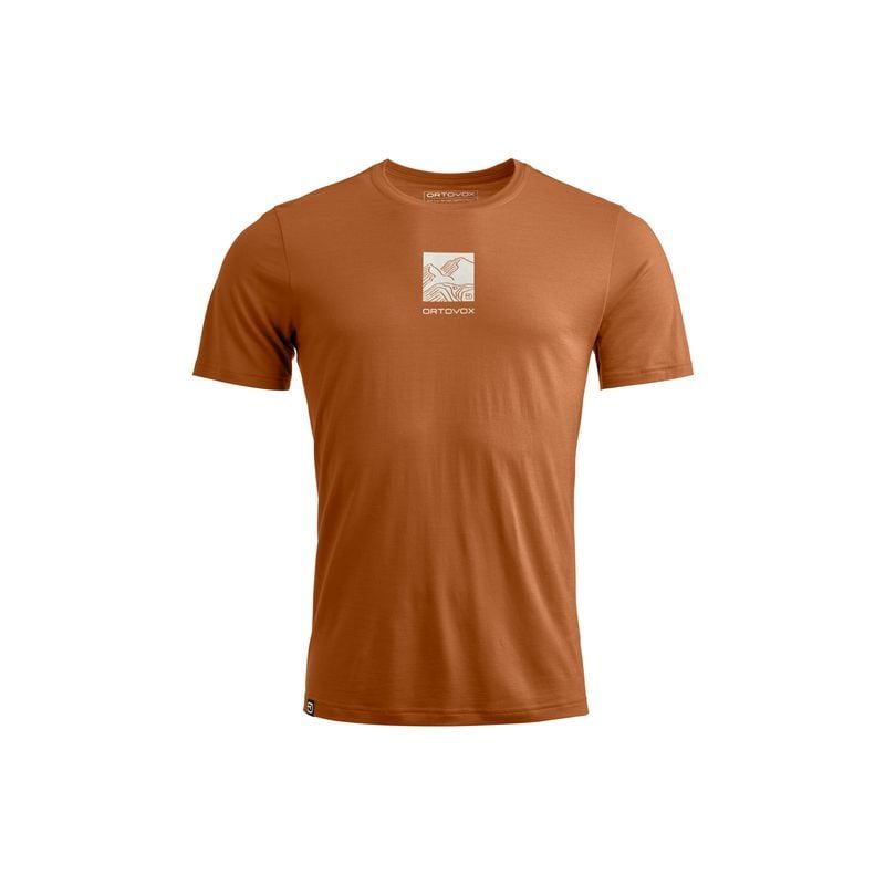 T-shirt Ortovox 120 COOL TEC ABSTRACT TS M (bristle brown) man