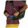 Osprey Talon 33 (Green Canopy/Pine L)