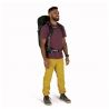 Osprey Talon 33 (baldacchino verde/pino L)