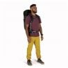 Osprey Talon 33 (Green Canopy/Pine L)
