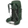 Osprey Talon 33 (Green Canopy/Pine L)