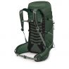 Osprey Talon 33 (Groene kap/Pine L)