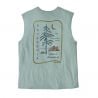 Patagonia Camiseta orgánica Clean Climb Roots Boxy de mujer (Thermal Blue)
