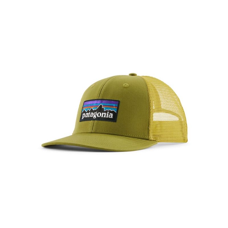 Pet Cap Patagonia P-6 Logo Trucker Hat (Graze Green)