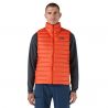 Doudoune sans manches PATAGONIA Down Sweater Vest (Pollinator Orange) Homme