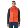 Ärmlös dunjacka för herrar Patagonia Down Sweater Vest (Pollinator Orange)