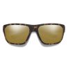 Smith Arvo (Mate Tortuga Oscuro ChromaPop Espejo Bronce Polarizado)