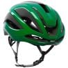 Casco da bici Kask ELEMENTO (beetle green)