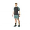 Shorts Dynafit ALPINE PRO 2/1 SHORTS (atlantic/0910) Mænd