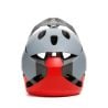 Downhill-Mountainbike-Helm Dainese Linea 01 Mips (Gray/Red)