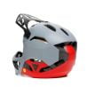 Downhill-Mountainbike-Helm Dainese Linea 01 Mips (Gray/Red)