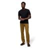 Pantalon PRANA Stretch Zion Top-Out Pant (RETRO OLIVE) homme