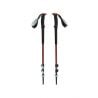 Wandelstokken Black Diamond TRAIL TREKKING POLES (IJzerrood)