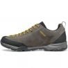 Bergschoenen Scarpa Mojito Trail GTX Titanium Mustard - Heren