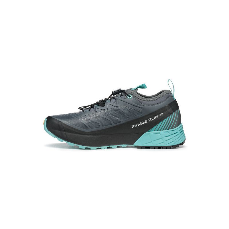 Ribelle Run GTX Wmn Antracietblauw Turquoise SS25
