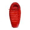 PAJAK QUEST BEAR (Red/Red)