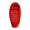 PAJAK QUEST BEAR (Red/Red)