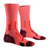 XSOCKS X-SOCKS TRAILRUN PERFORM CREW (R060 FLUO RED/NAMIB RED)