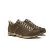 Wanderschuhe Dolomite 54 Low Fg Evo Gore-Tex (Chestnut Brown) Mann