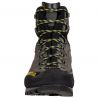 Trango Alp Evo Gtx
