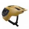 axion race mips POC