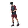 Camiseta hombre Dynafit ALPINE PRO S/S TEE (arándano BURGUNDY)