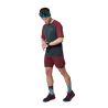 T-shirt Dynafit ALPINE PRO S/S TEE (blueberry BURGUNDY) Heren