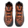 Chaussures de randonnée SALEWA WILDFIRE NXT MID GTX M (Bombay Brown Turmeric)