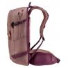 Deuter Freerider 22 SL (ashrose-chassi)