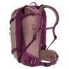 Deuter Freerider 22 SL (ashrose-chassi)