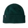 Patagonia Brodeo muts (Cascade Green)